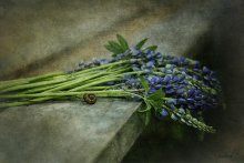 Mai-Abend ... eines Tages ... / ..................