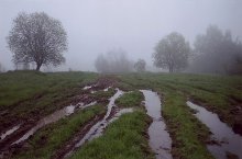"Dirt" / ***