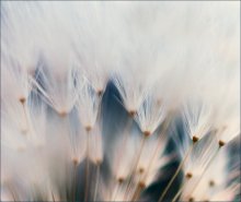  / ***************