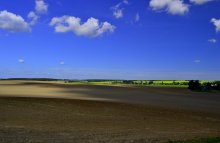 Spring-Feldstudie / *********