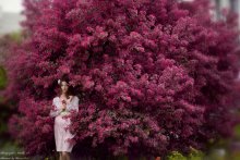 Pink Wedding / ***