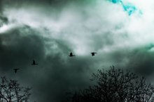 Sturm / ***