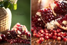 Granatum / =====