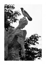 verlorene Seele / *****