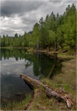 Forest Lake / ***