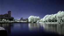 "Snowy" Stadt / ***