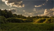 Abend Wiese / ***