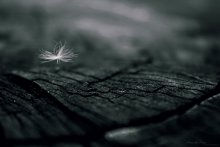 Allein / ***