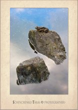 Auf den himmlischen Steinen / ***