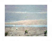 Löwenzahn-Vania / ...