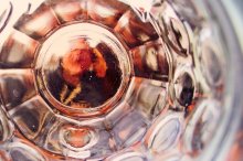 Refraction of Friends / ***