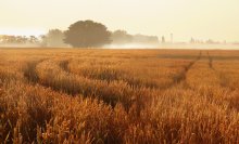 Brot, Daybreak ... / ***
