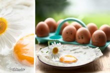 fried eggs / ========