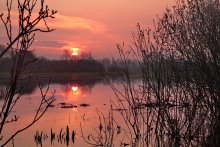 Morgen / ***