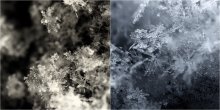 Schneeflocken / ***