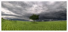 Einsamkeit Gedanken vor dem Sturm. / ***