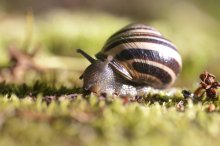 Die beliebtesten Mode-Modell / ***
