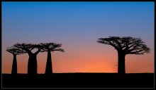 African Sonnenaufgänge (1) / ***