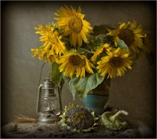 SUNFLOWERS / ***
