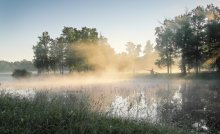 Sommermorgen / ***
