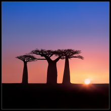 Madagaskar / ***