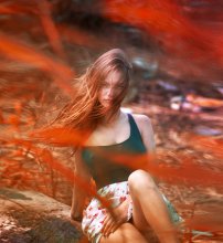 Euphoria / ***