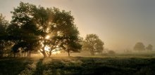 Nebliger Morgen / ***