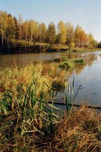 Herbst in Abramtsevo / ***