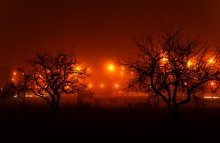Im Nebel / ***