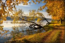 IM HERBST SHORE ... / ***