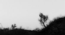 Nebliger Morgen / ***