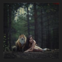 Foxstory / ***
