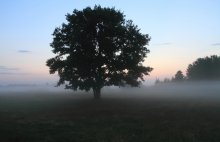 Vor Sonnenaufgang-2 / _____________________*