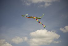 Flug / ***