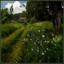 Verlassenes Dorf. / * * *