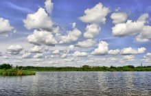 Wolken, Belogrivov Pferde / ***