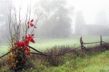 September morgens / ***