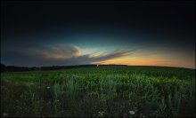 Abends kukruznaya / ***