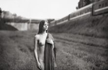 Train / ***