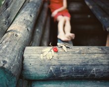 "Alex" / film 6*7