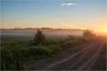 Morgen Nebel / ***