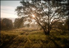 Die Golden Morning / ***
