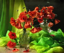 Mohn / ***********************