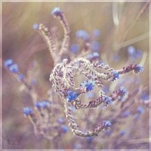 Spirale / ***