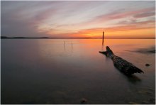 Der Sommer-Nacht / ------------