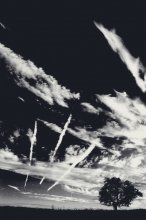 Himmel / ***