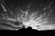 Sonnenuntergang / ***
