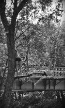 Bungee-Jumping / ***