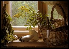 Einkaufen auf der Fensterbank / ***