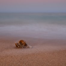 Lonely Stone / ***